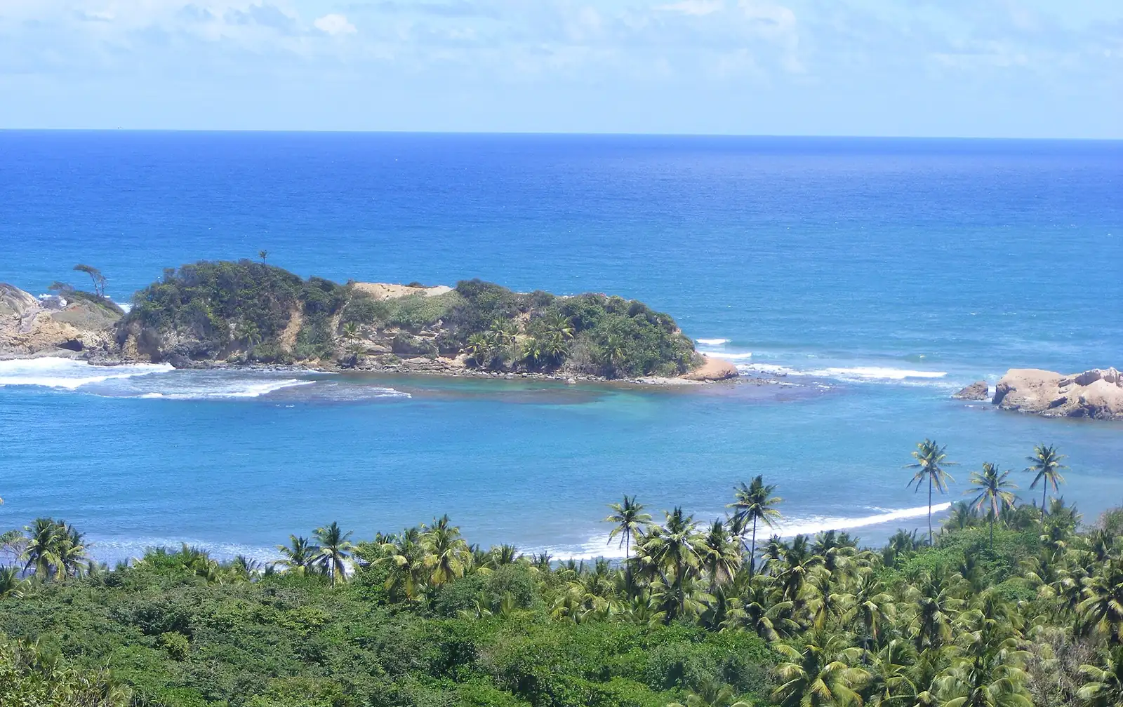Palm forest and a rocky green islet in the turquoise sea off Calibishie on the north coast of Dominica