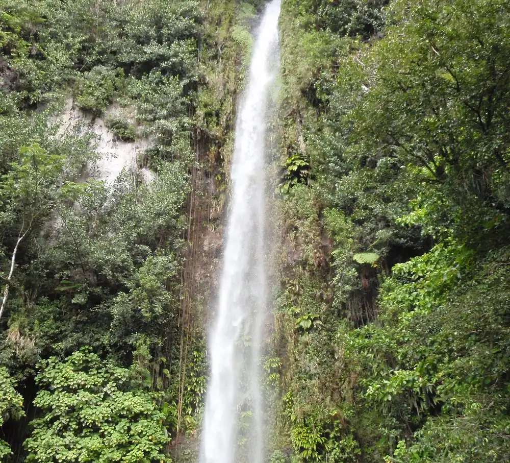 Middleham Falls dropping through lush tropical forest in Morne Trois Pitons National Park, Dominica