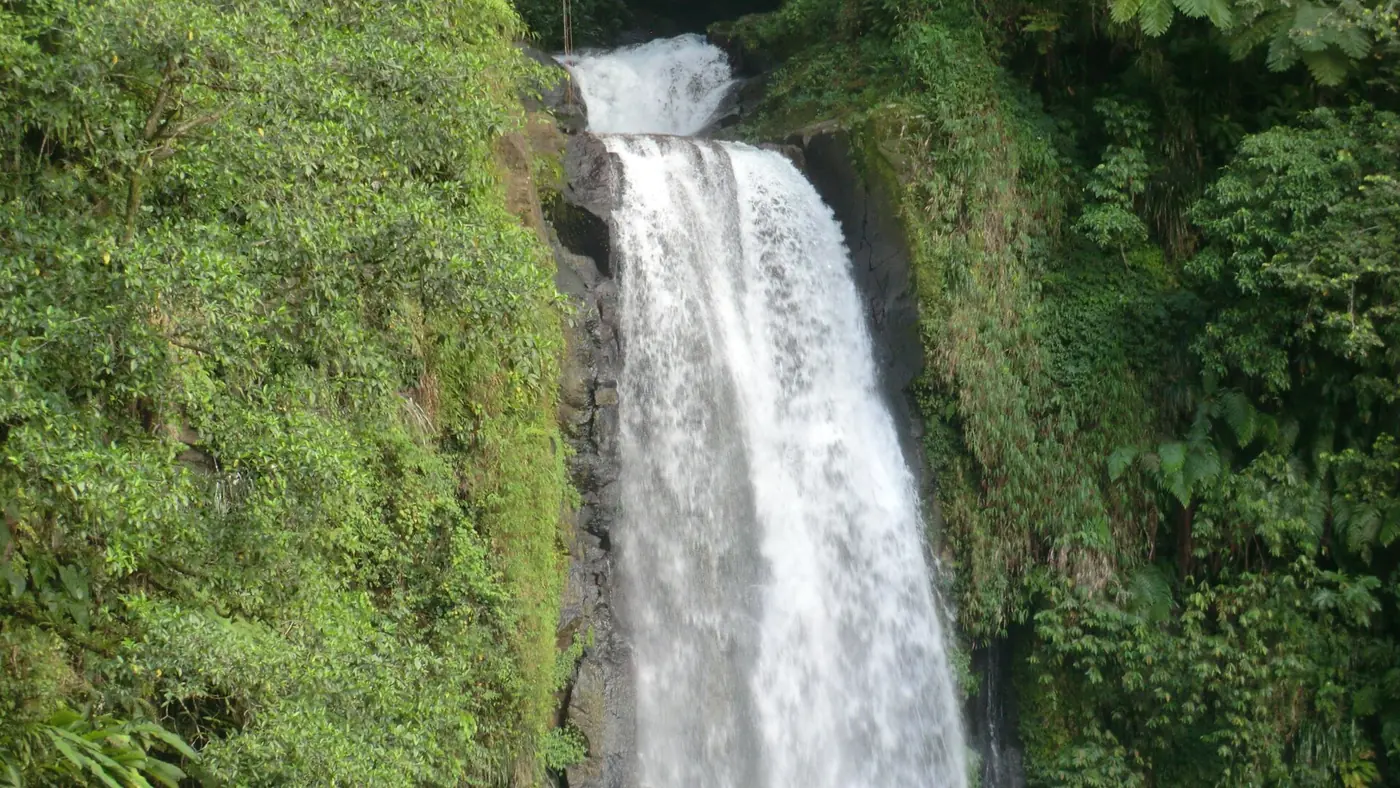 White water pouring down a green cliff at Trafalgar Falls in Morne Trois Pitons National Park, Dominica