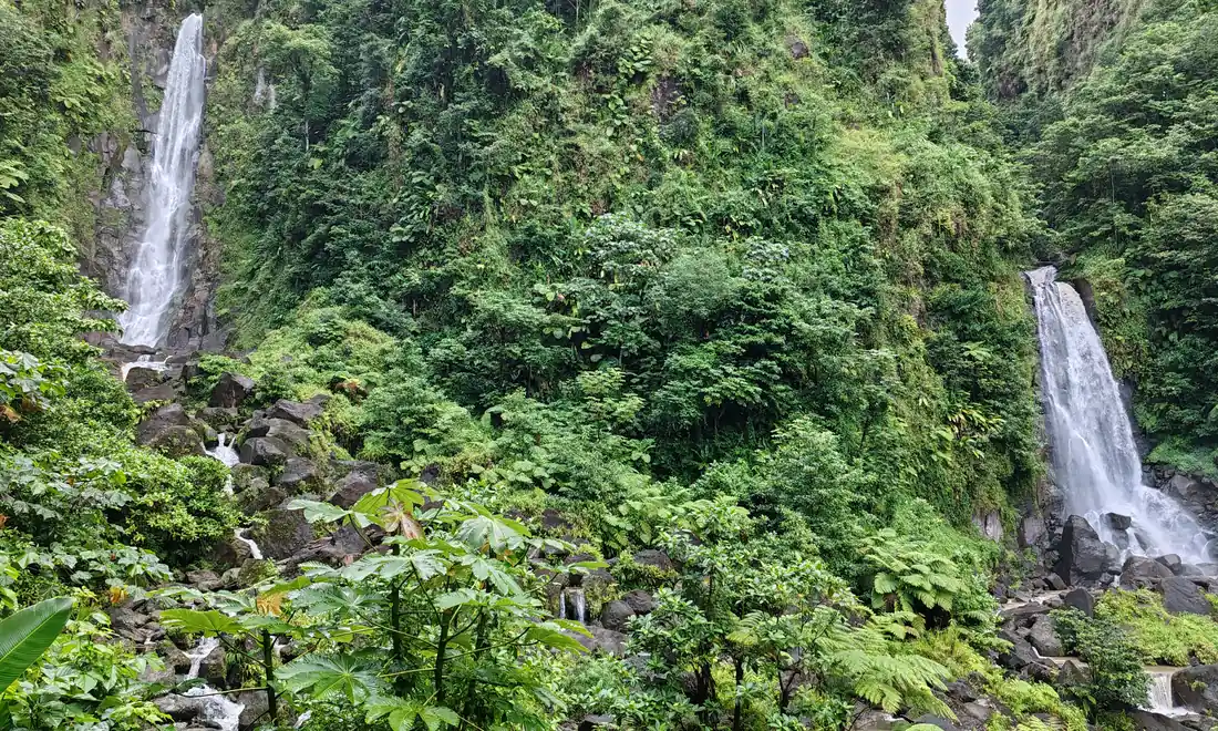 The twin cascades of Trafalgar Falls framed by dense rainforest in the Roseau Valley, Dominica