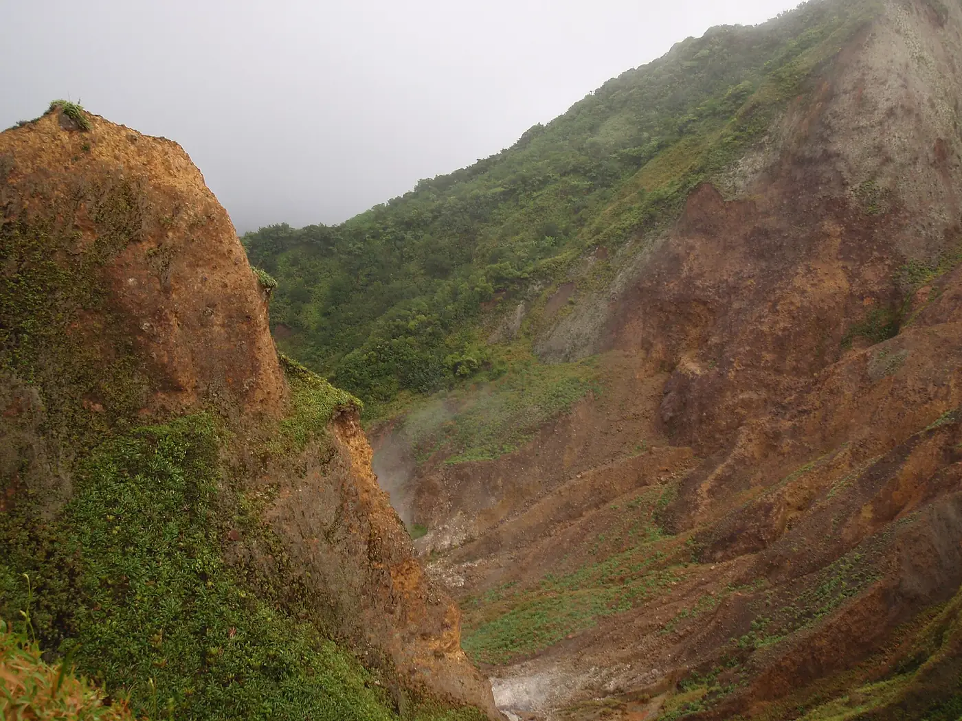Volcanic slopes in ochre and green at the Valley of Desolation in Morne Trois Pitons National Park, Dominica